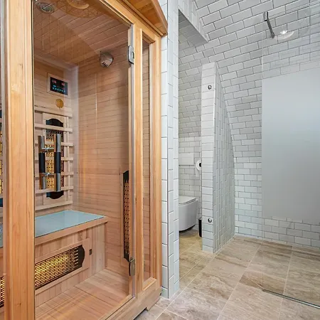 Gejzir Vendeghaz 蒂豪尼